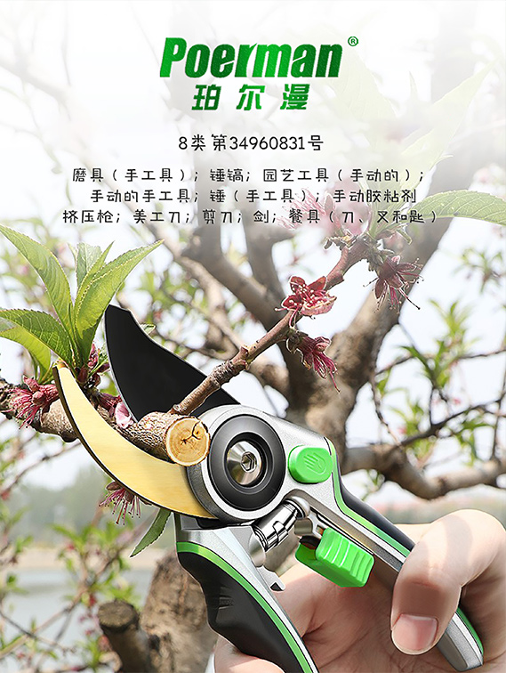 8類-珀爾漫.jpg