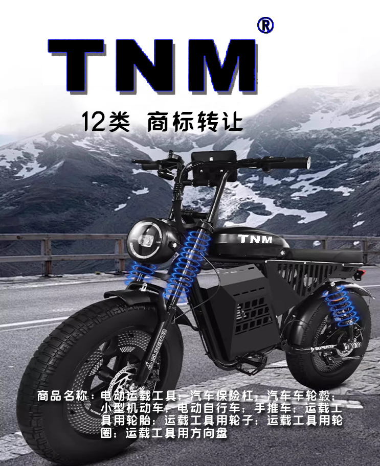 12類 TNM.jpg
